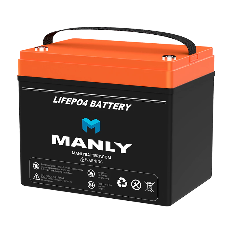 LiFePO4 Lithium Battery