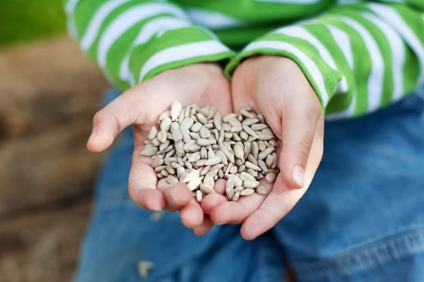 How to Eat Pumpkin and Sunflower Seeds: Practical Tips You Actually Need