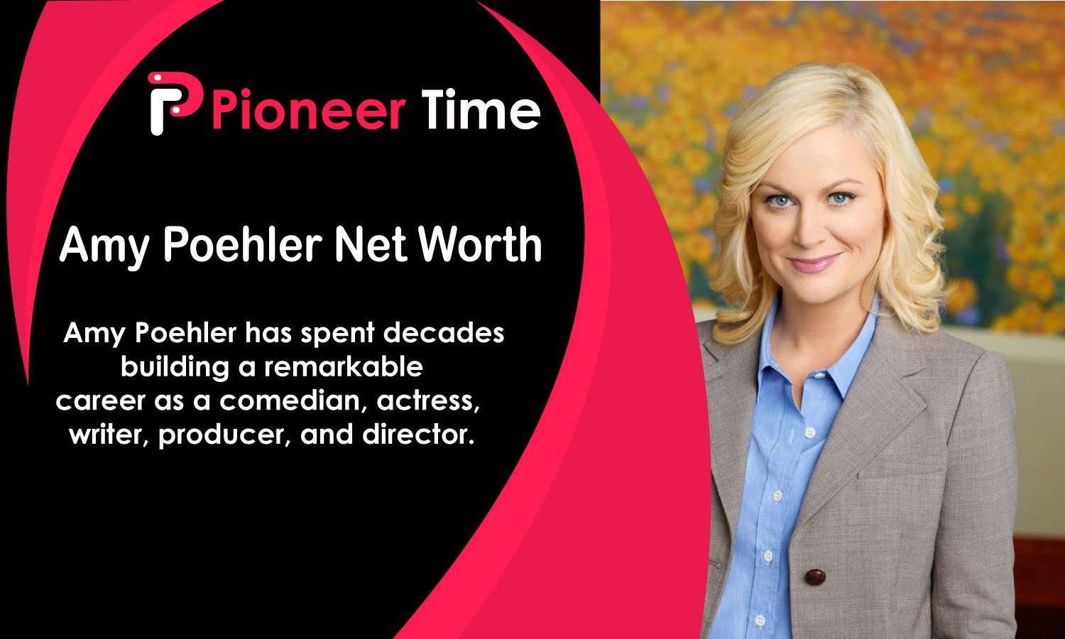 amy poehler net worth